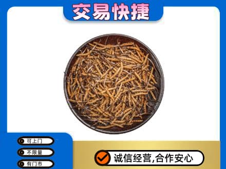 延安延川县高价回收散虫草